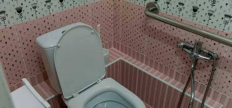 Meeting Diverse Needs With Accessible Restroom Solutions in Graham, WA